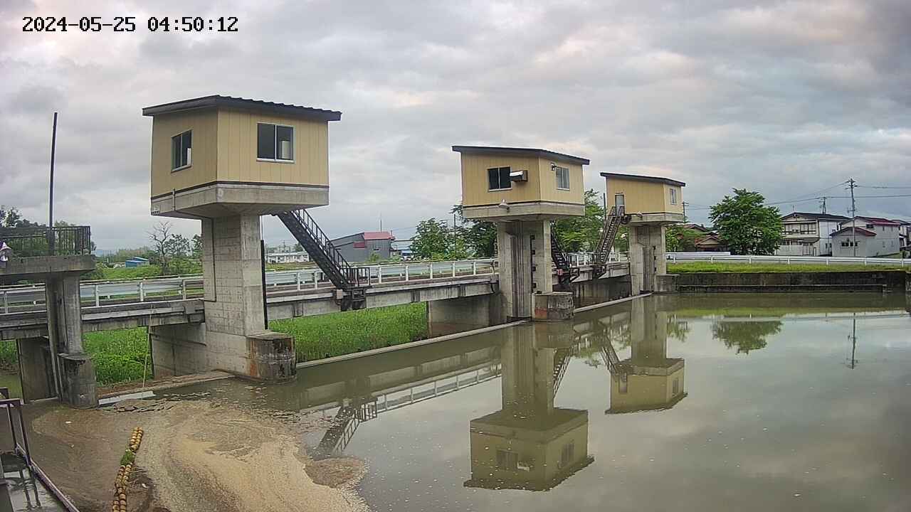 area1-20240525045014.jpg