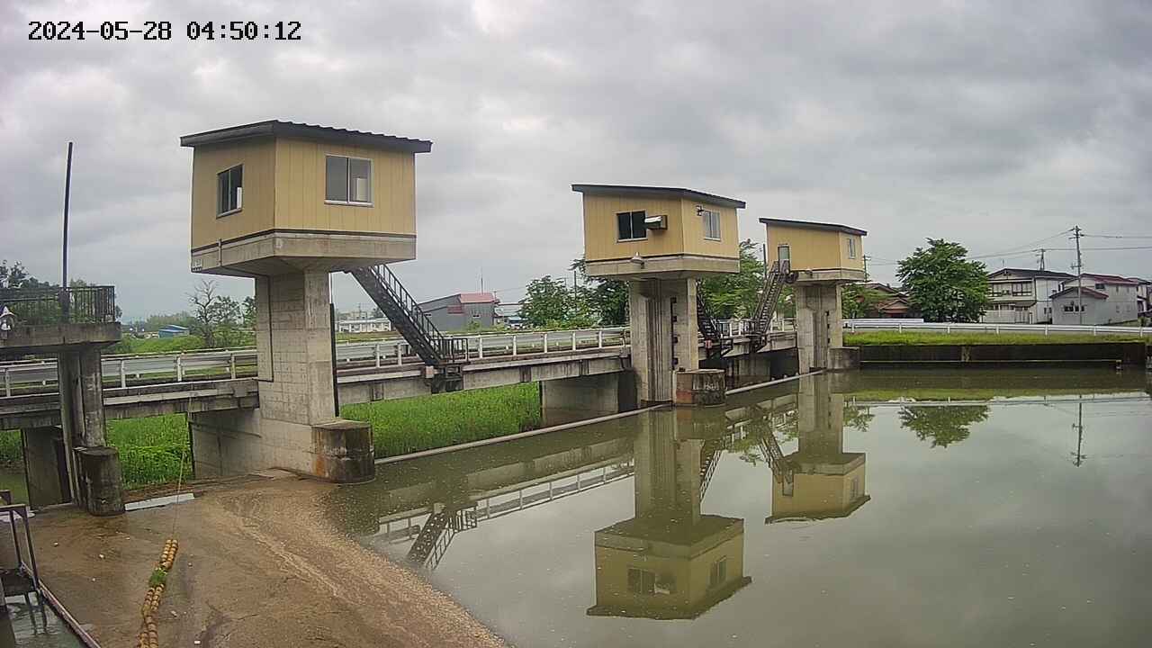 area1-20240528045014.jpg