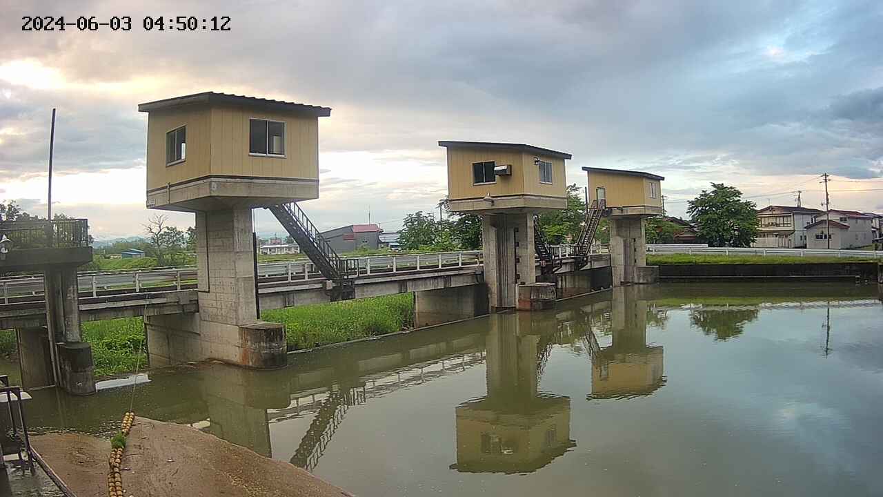 area1-20240603045012.jpg