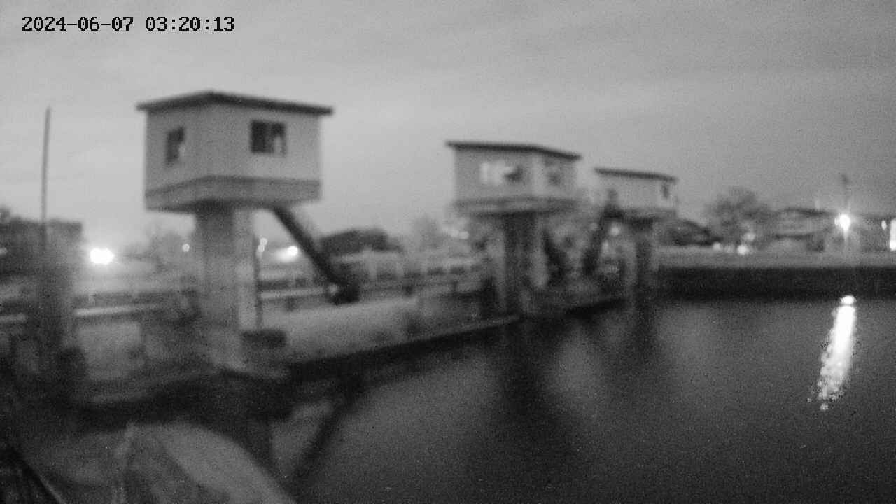 area1-20240607032014.jpg