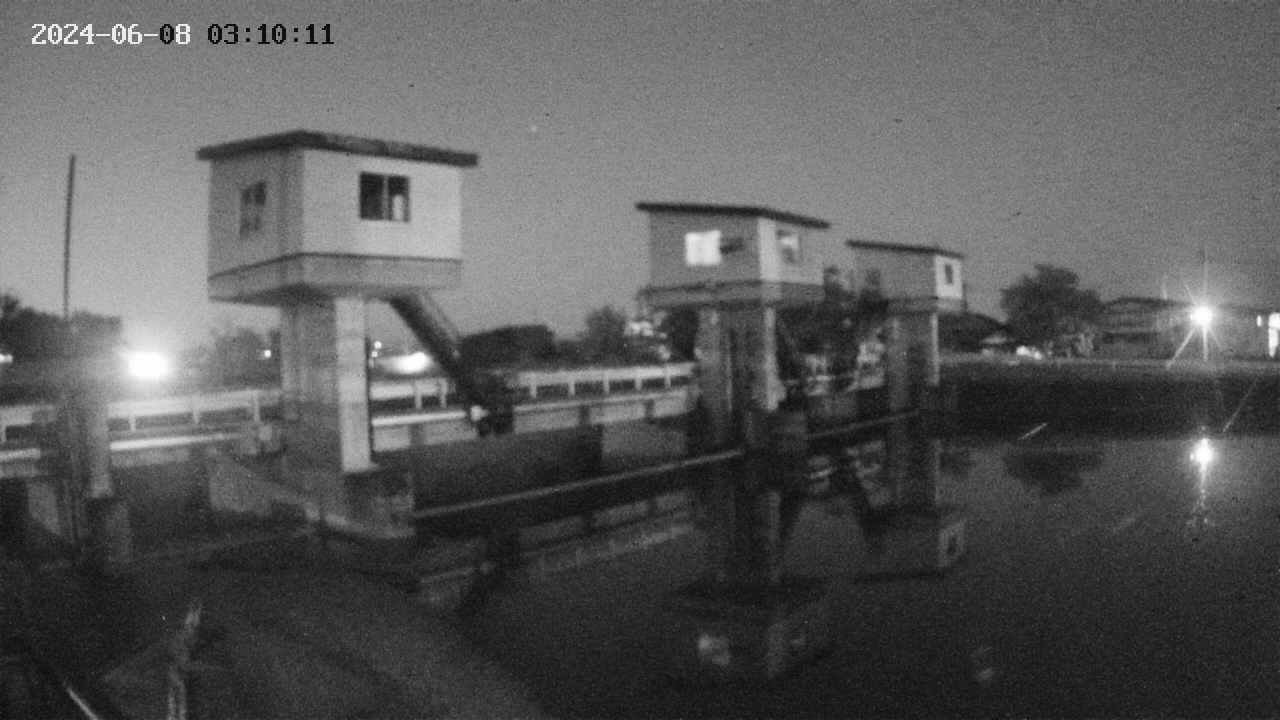area1-20240608031012.jpg