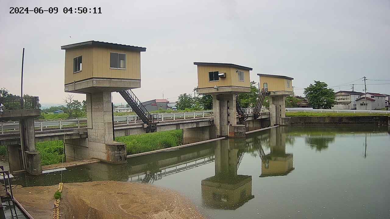 area1-20240609045012.jpg
