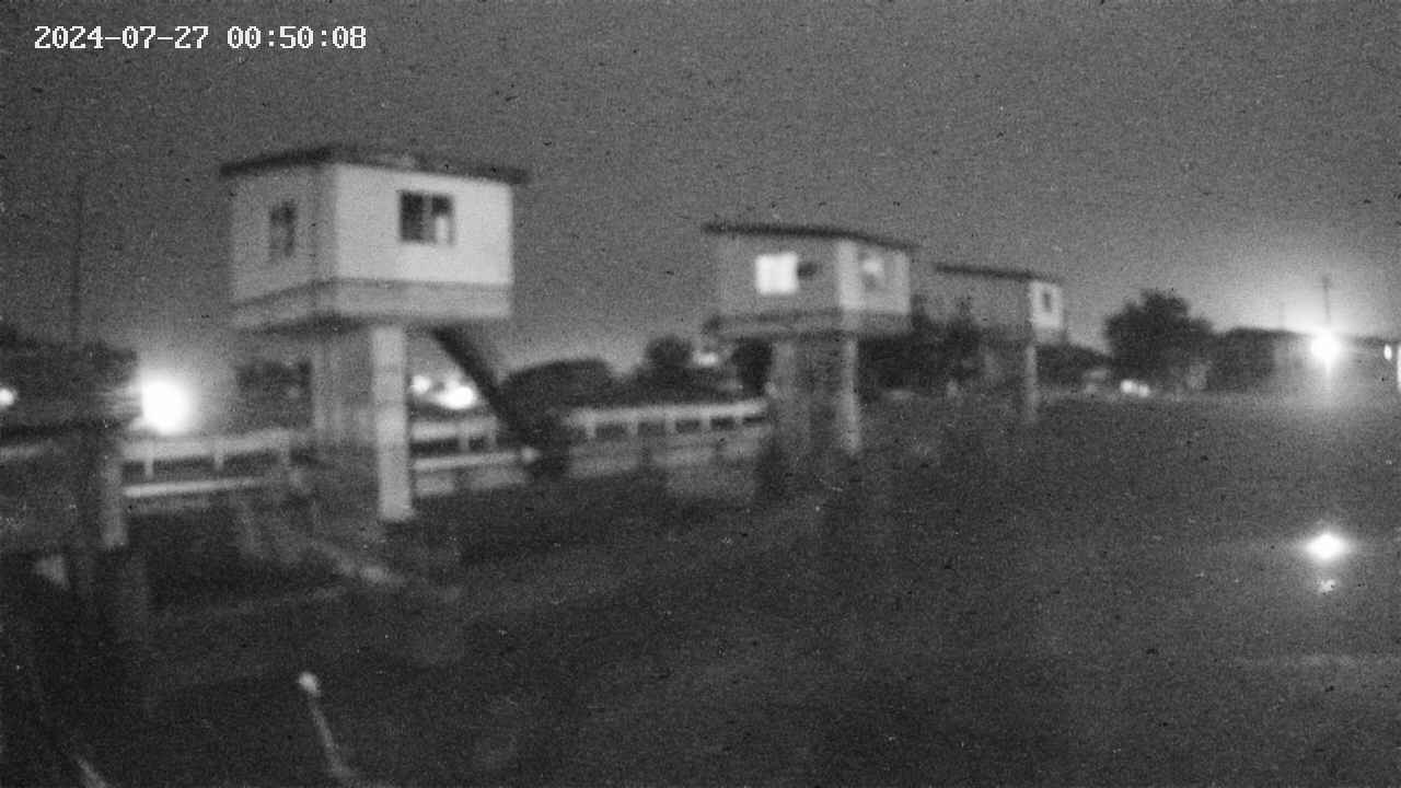 area1-20240727005013.jpg