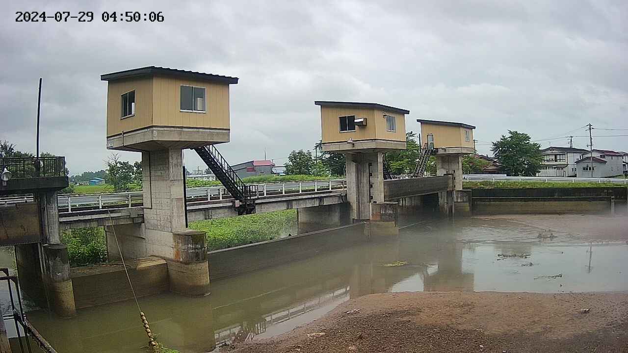 area1-20240729045013.jpg