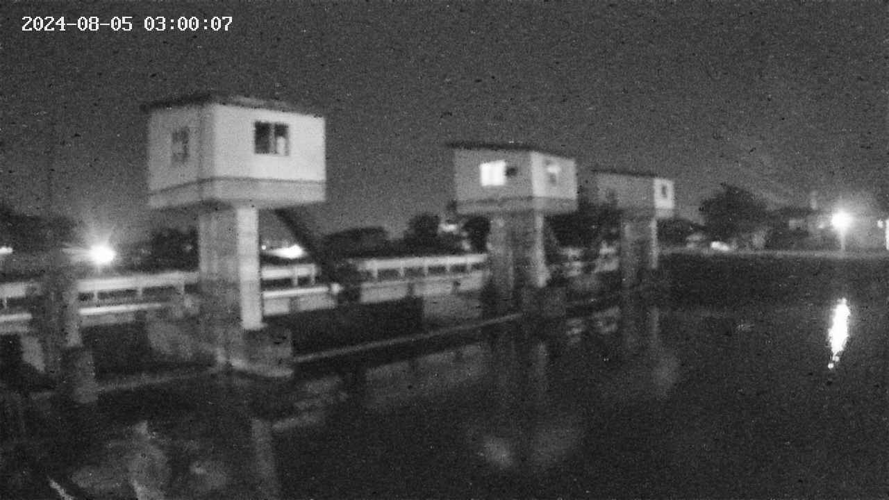 area1-20240805030013.jpg