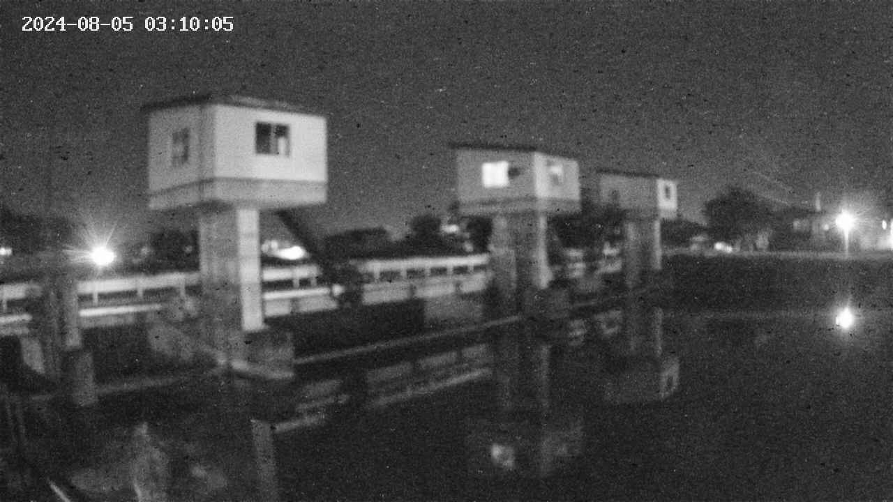 area1-20240805031012.jpg