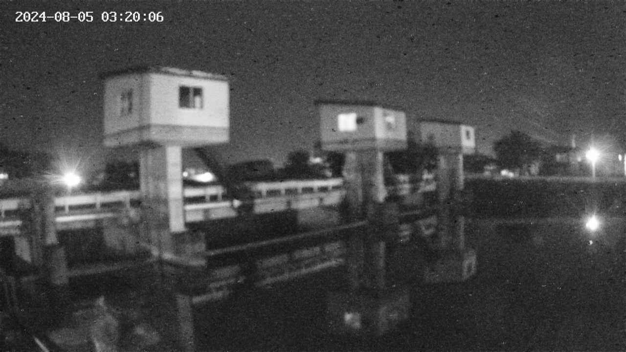 area1-20240805032012.jpg