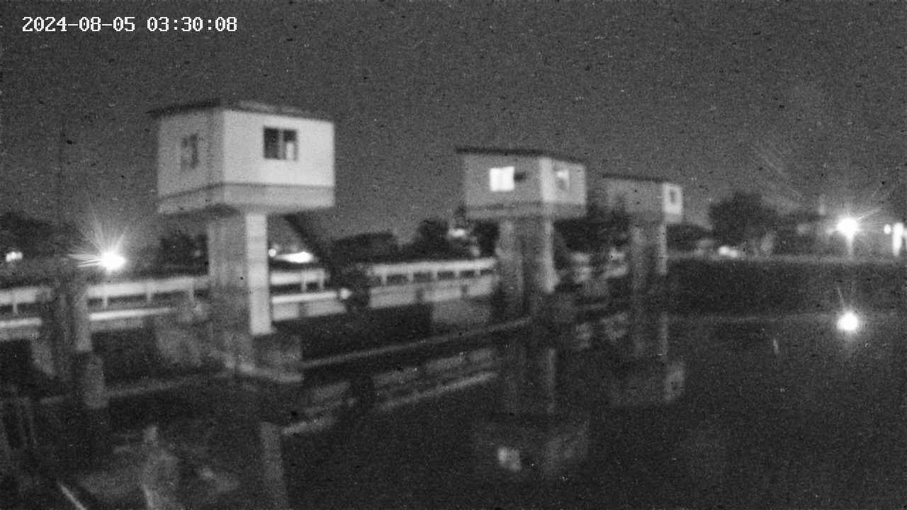 area1-20240805033014.jpg