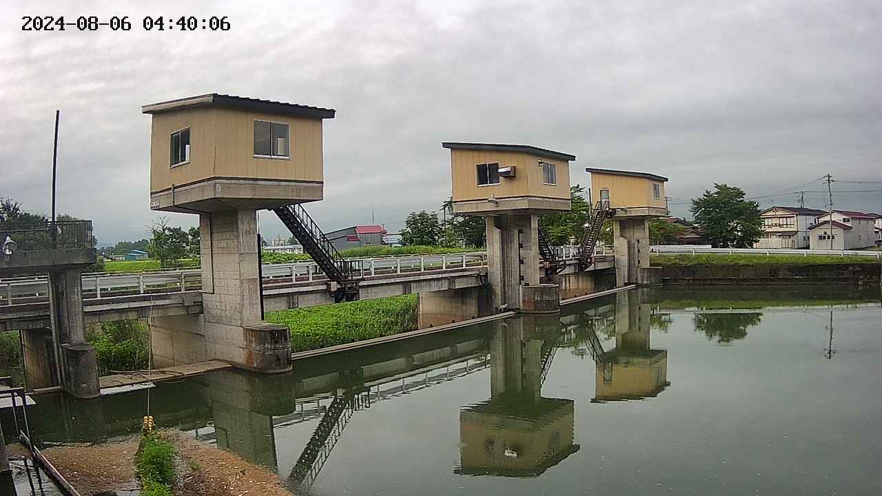 area1-20240806044013.jpg
