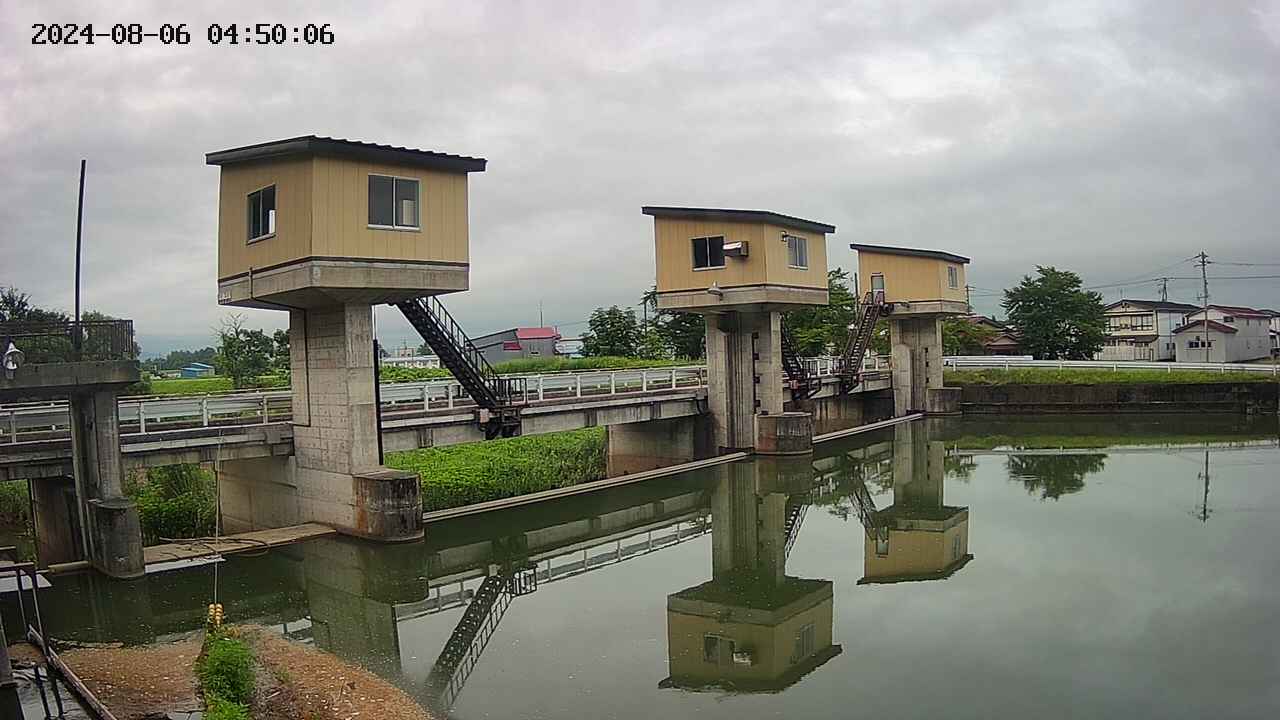 area1-20240806045013.jpg