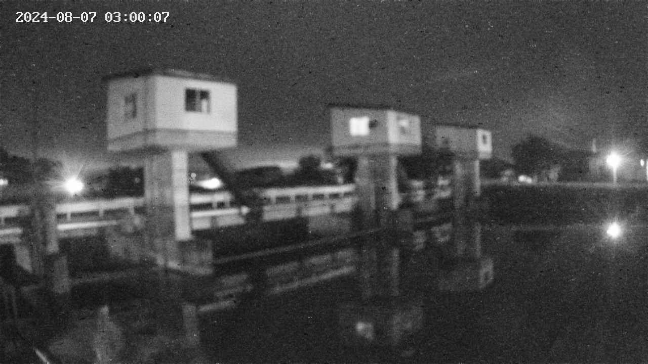 area1-20240807030013.jpg
