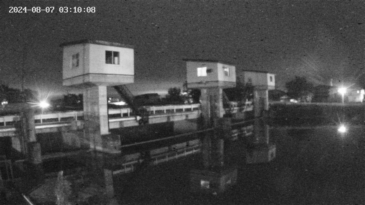 area1-20240807031014.jpg