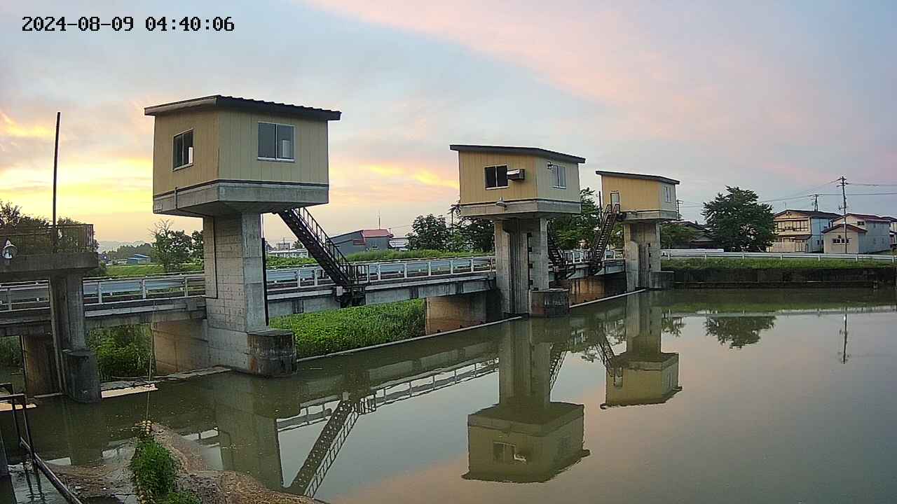 area1-20240809044013.jpg