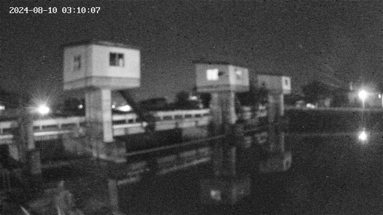 area1-20240810031013.jpg
