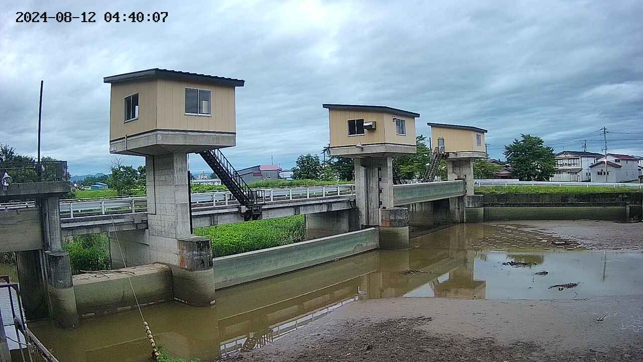 area1-20240812044014.jpg