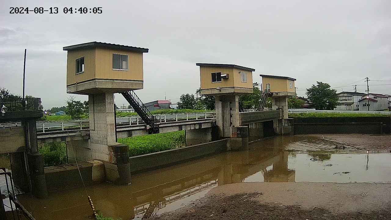 area1-20240813044012.jpg