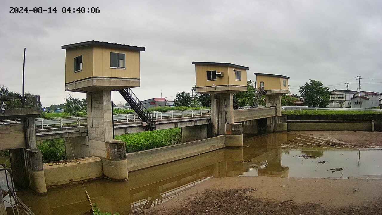 area1-20240814044013.jpg