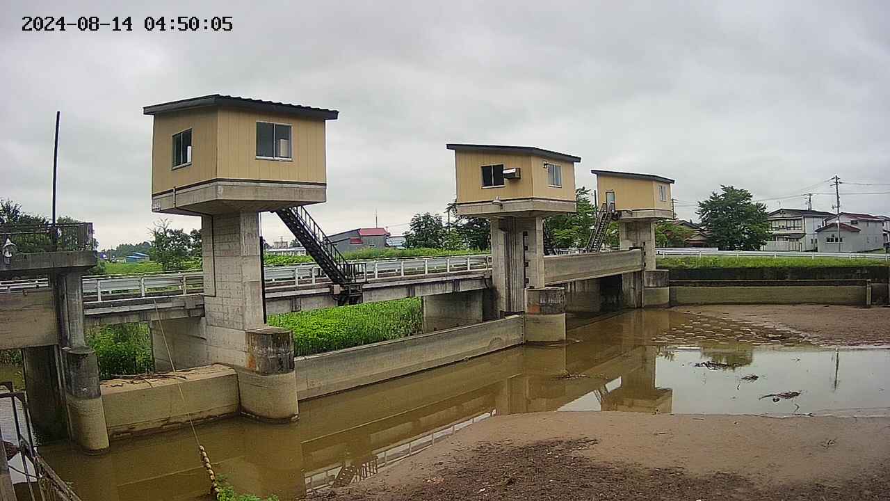 area1-20240814045012.jpg