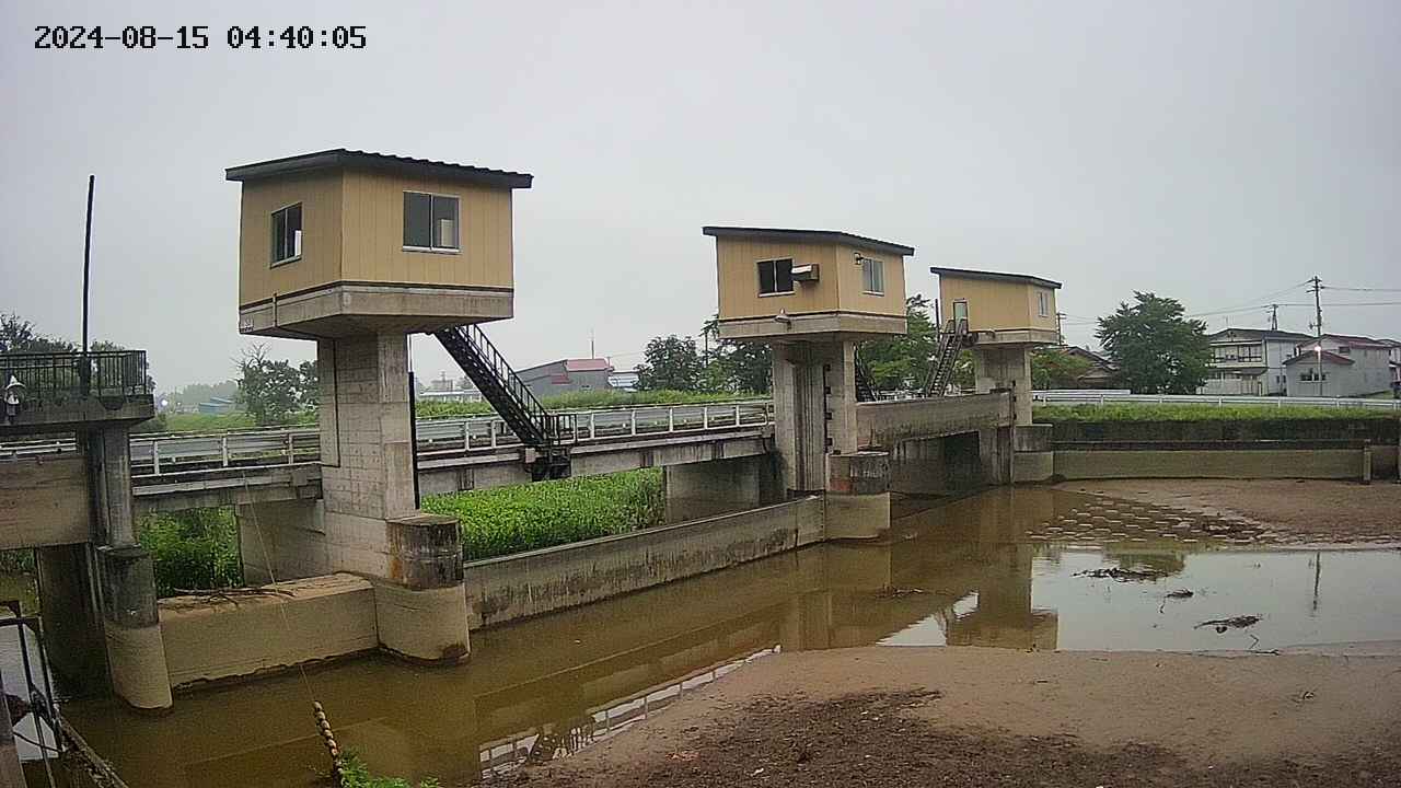 area1-20240815044012.jpg