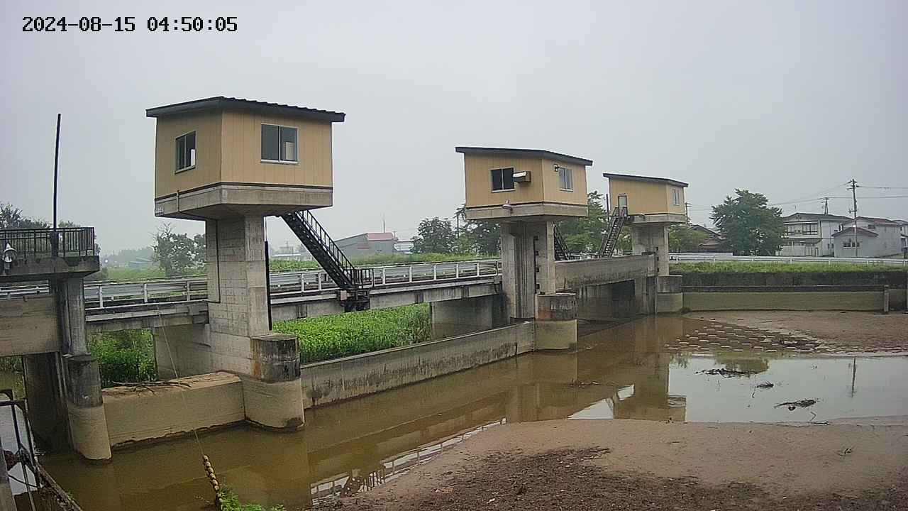 area1-20240815045012.jpg