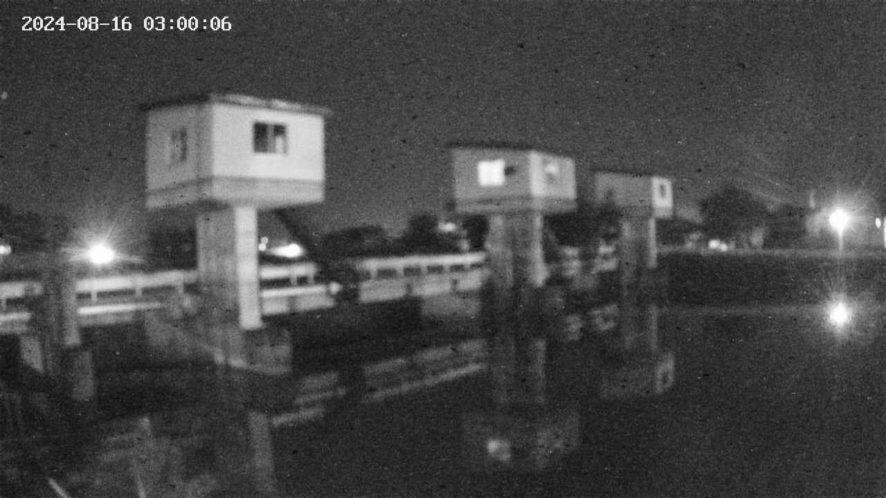 area1-20240816030012.jpg