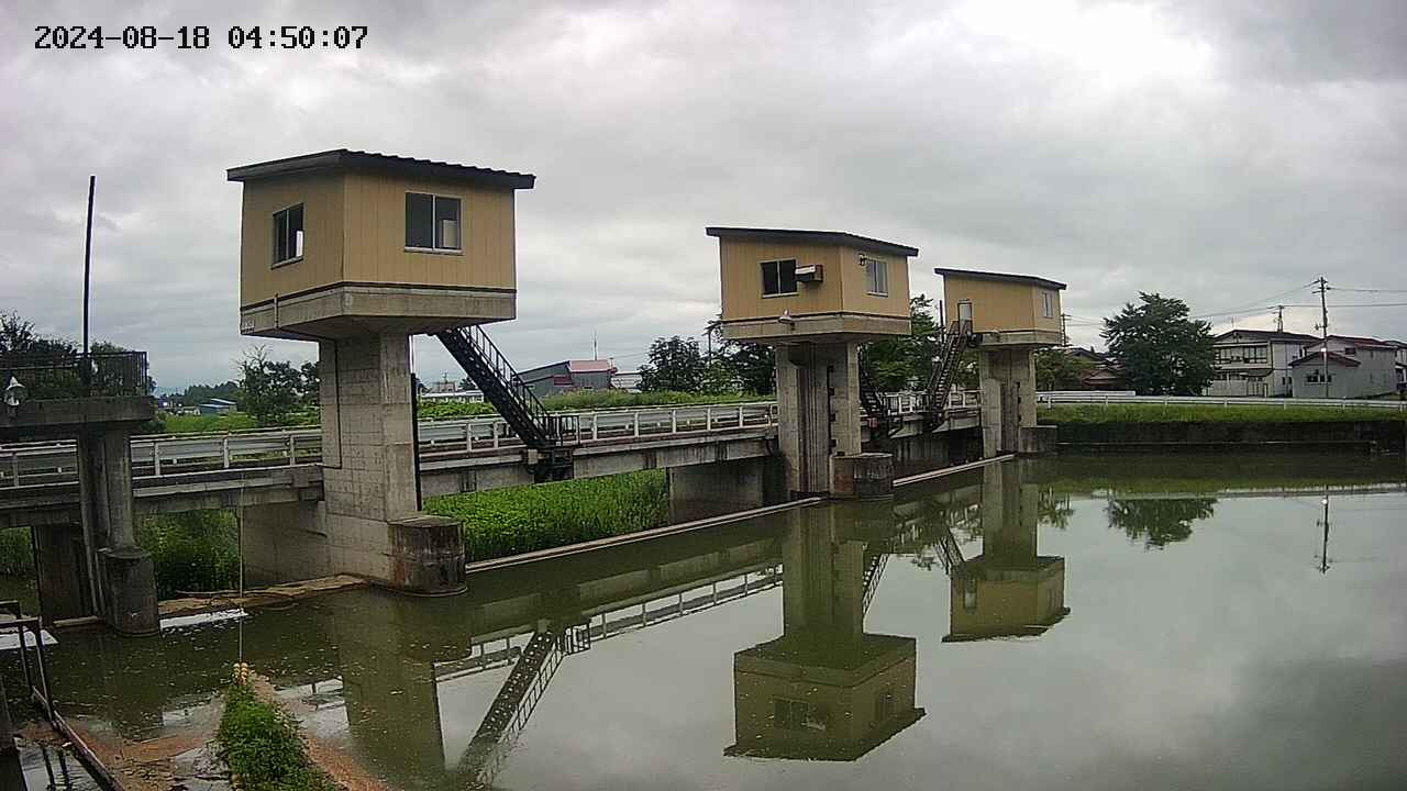 area1-20240818045014.jpg