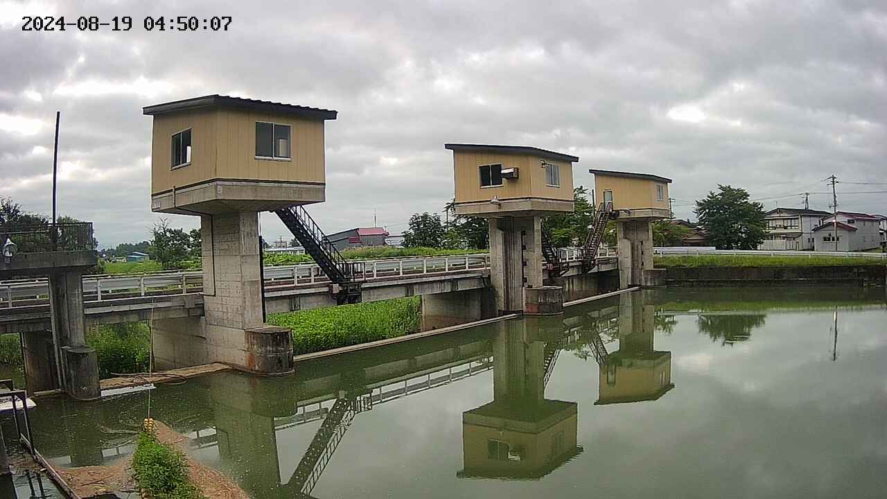 area1-20240819045014.jpg