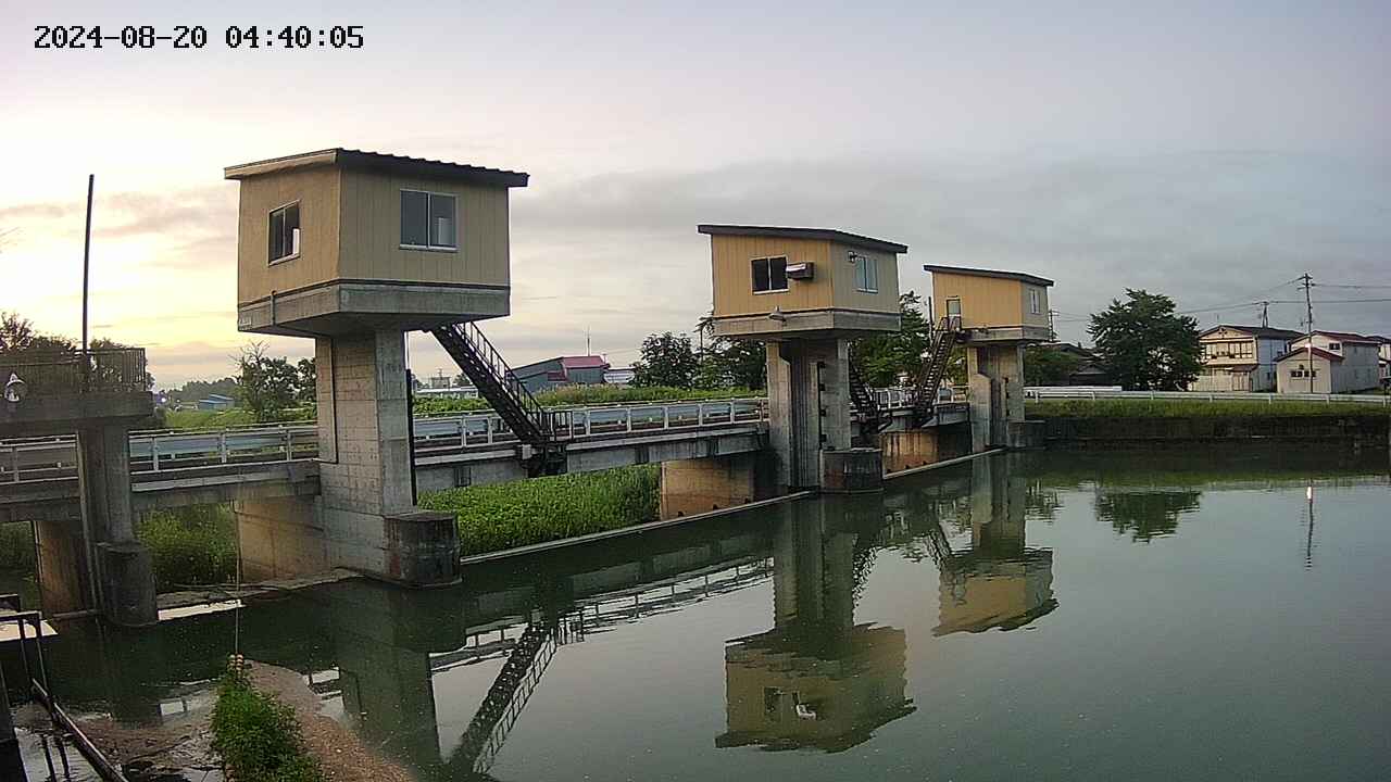 area1-20240820044012.jpg