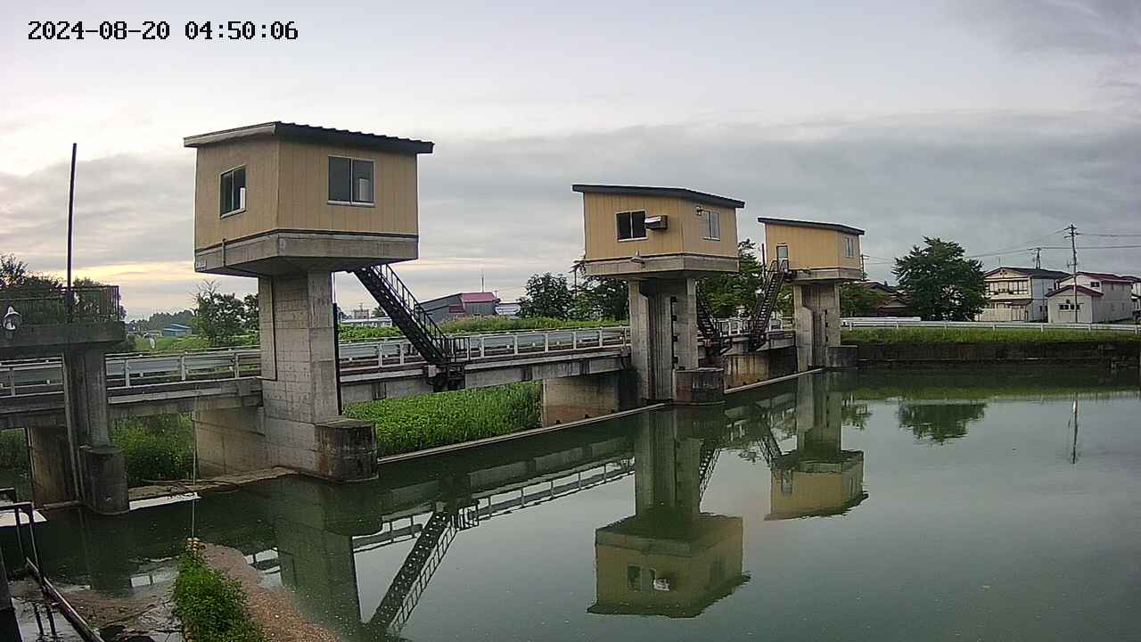area1-20240820045013.jpg