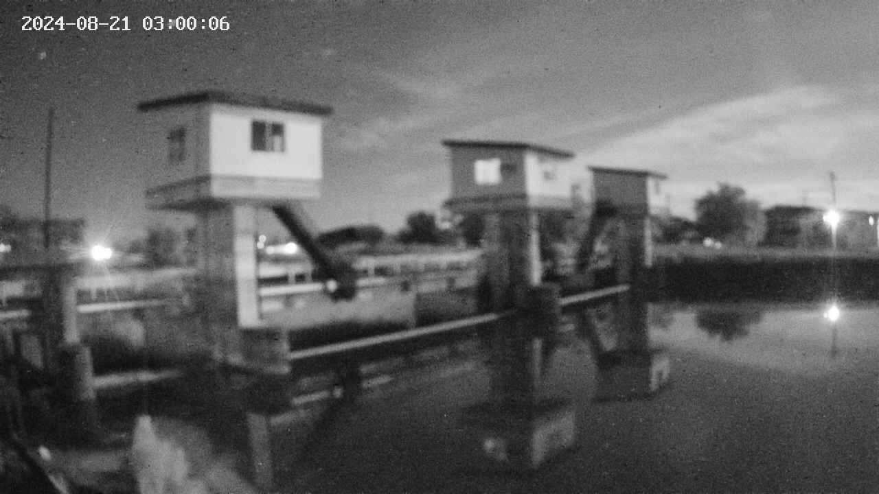 area1-20240821030012.jpg