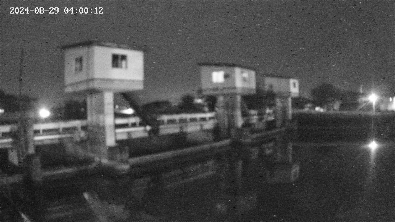 area1-20240829040013.jpg