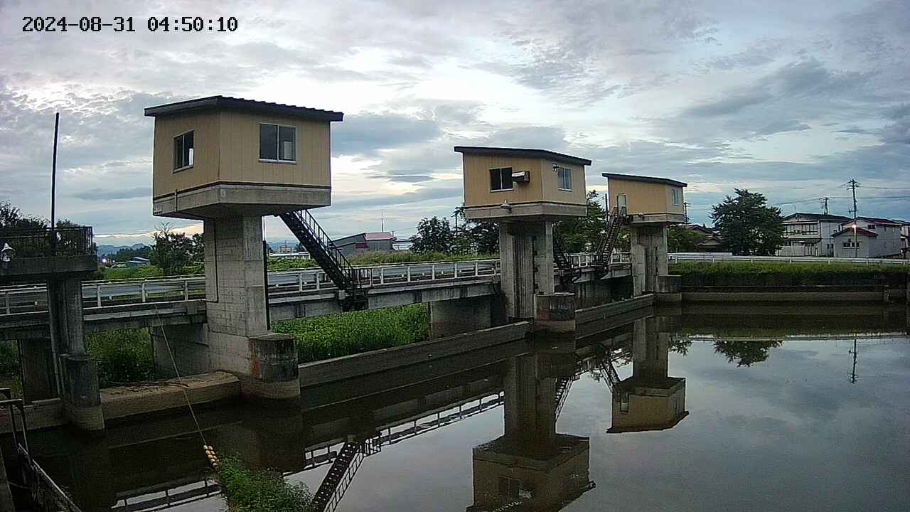 area1-20240831045012.jpg