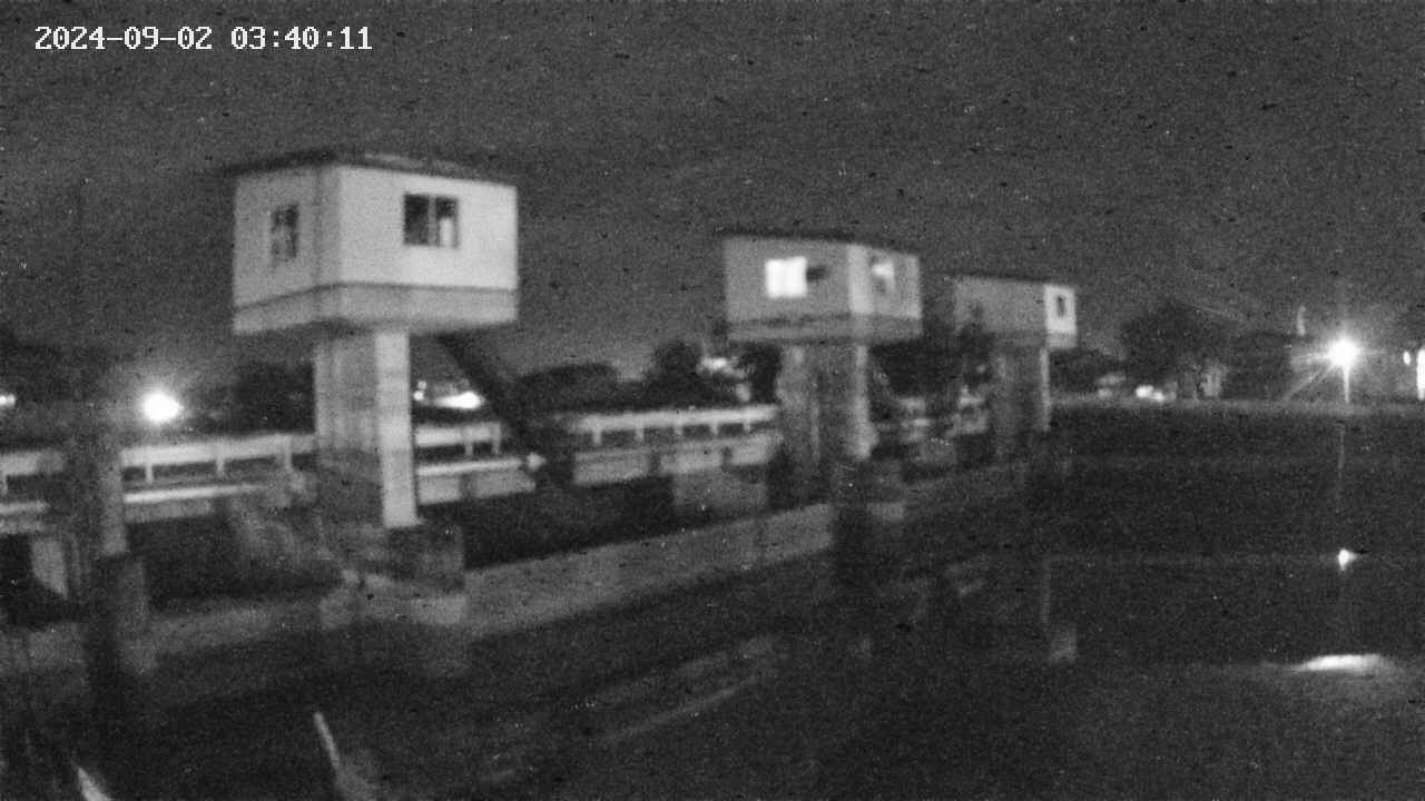area1-20240902034013.jpg