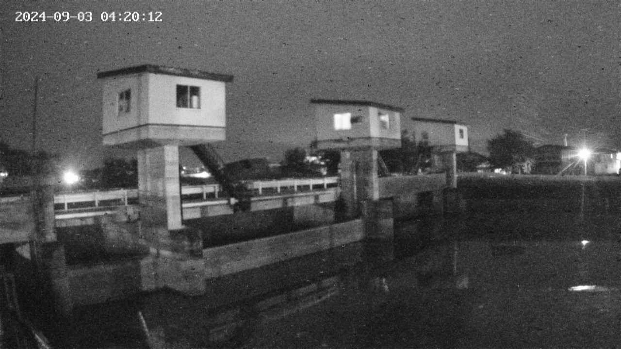 area1-20240903042013.jpg