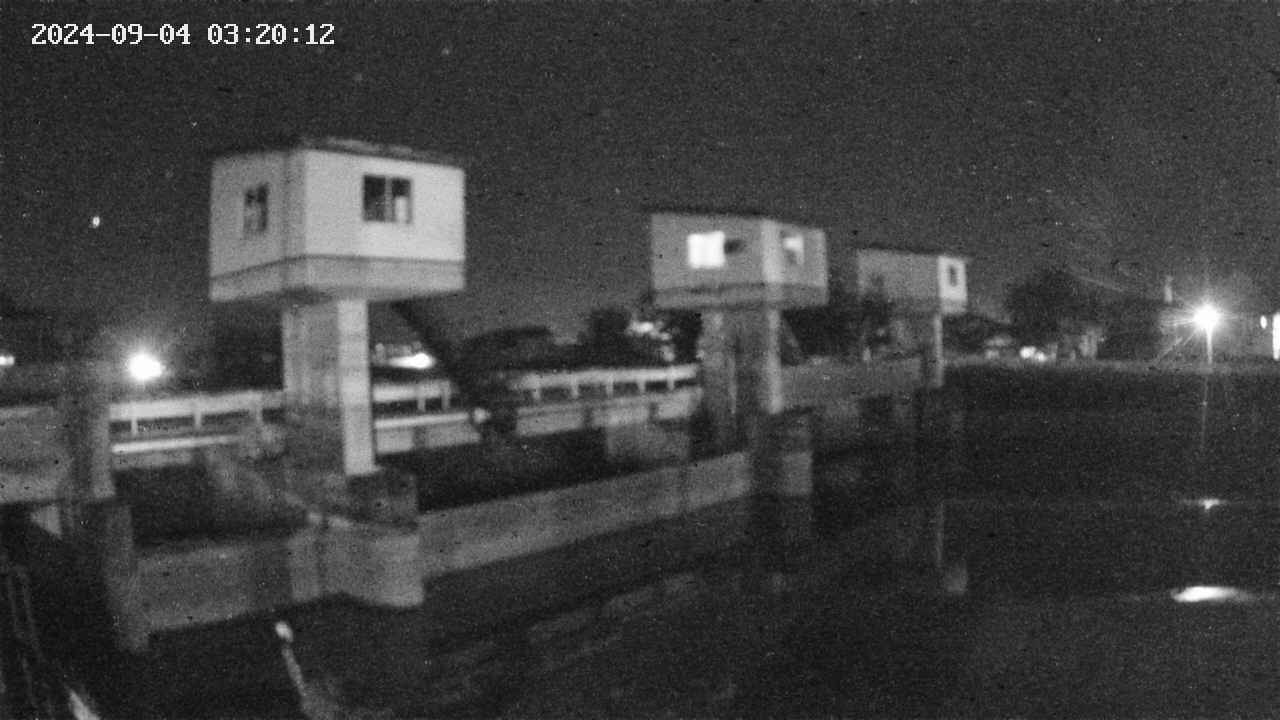 area1-20240904032013.jpg