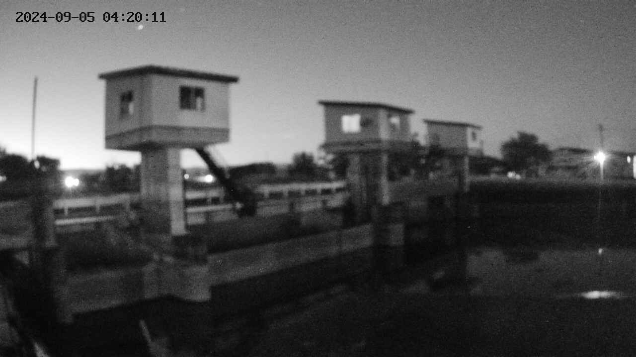 area1-20240905042012.jpg