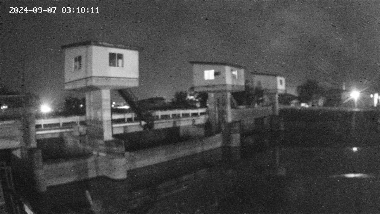 area1-20240907031012.jpg