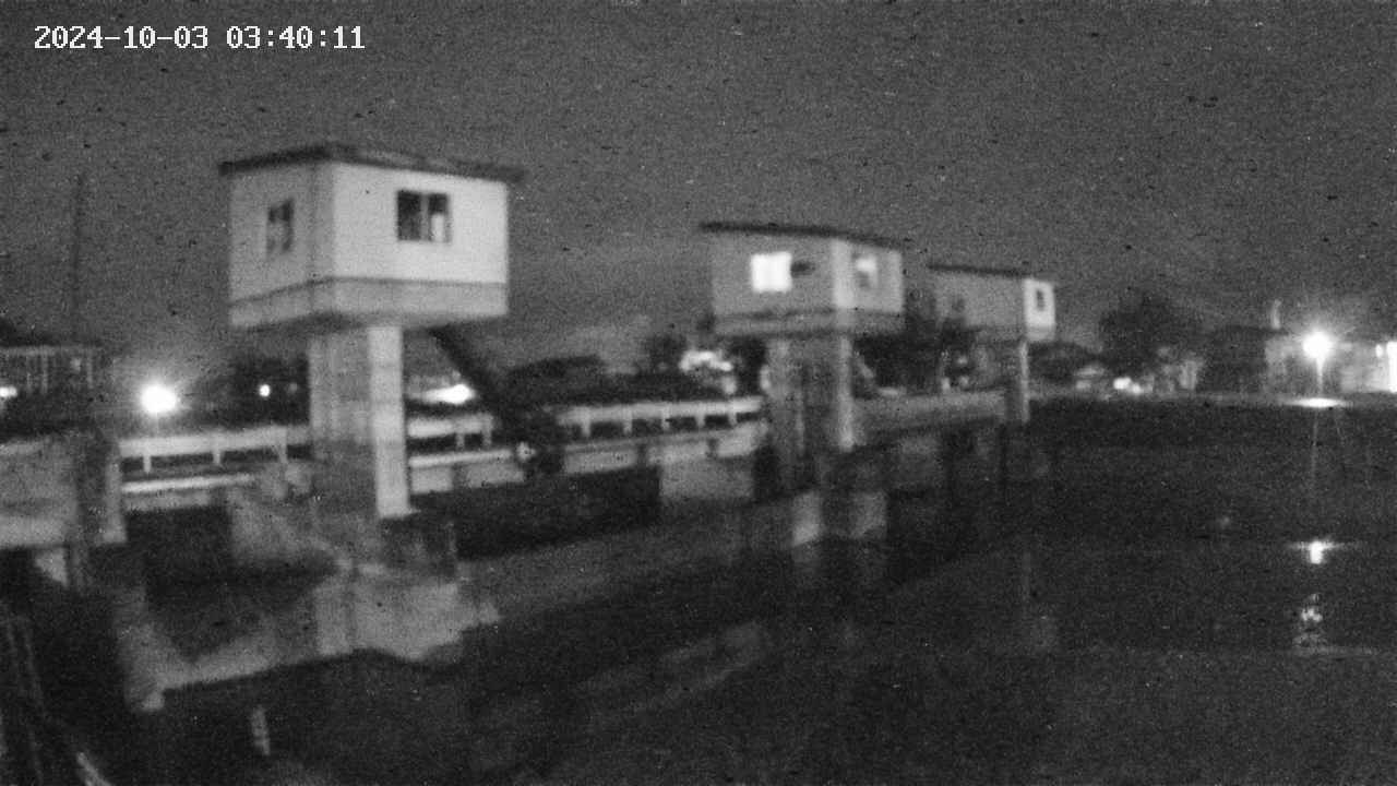 area1-20241003034012.jpg