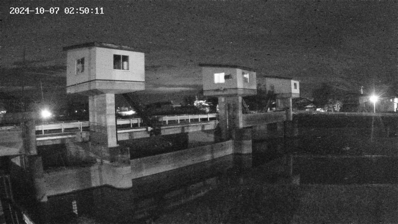 area1-20241007025012.jpg