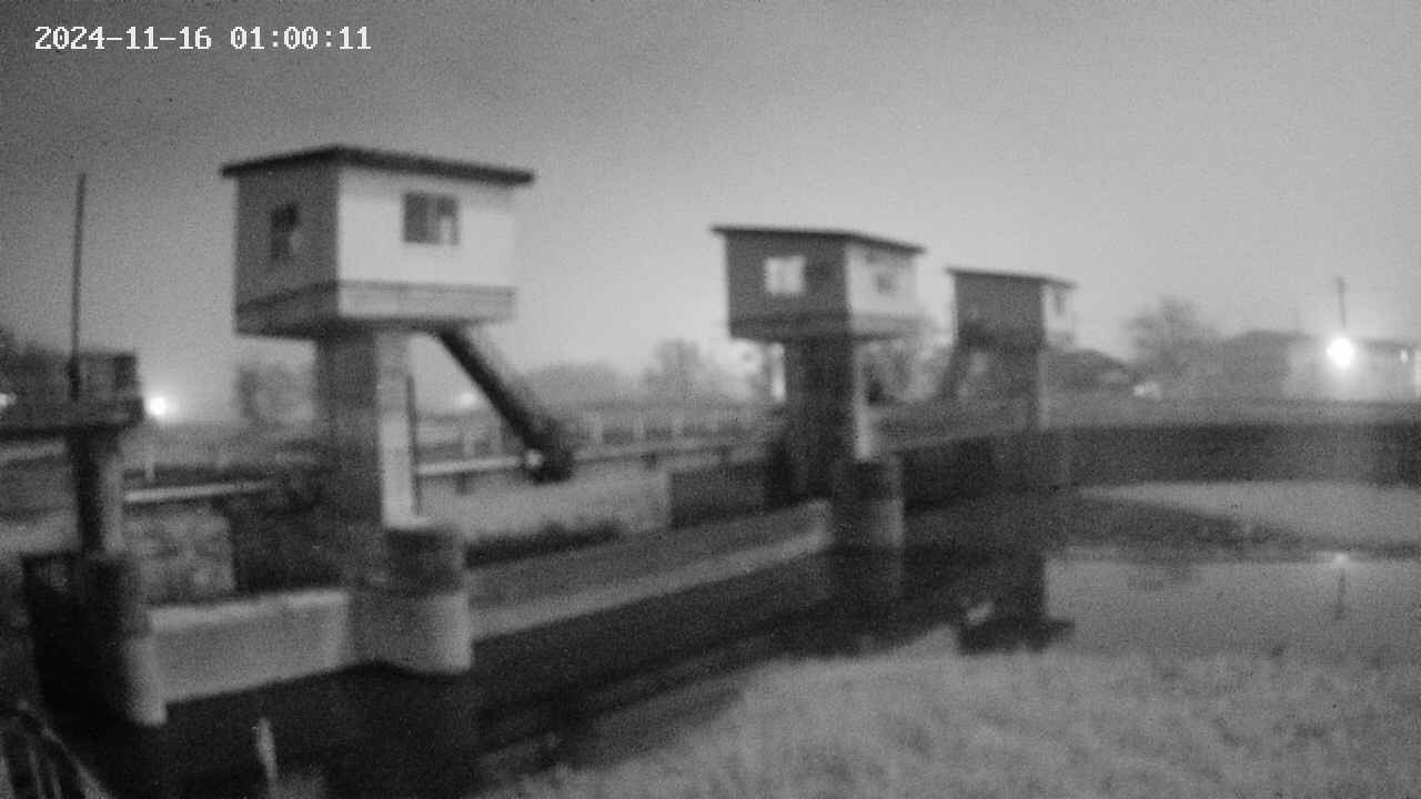 area1-20241116010012.jpg