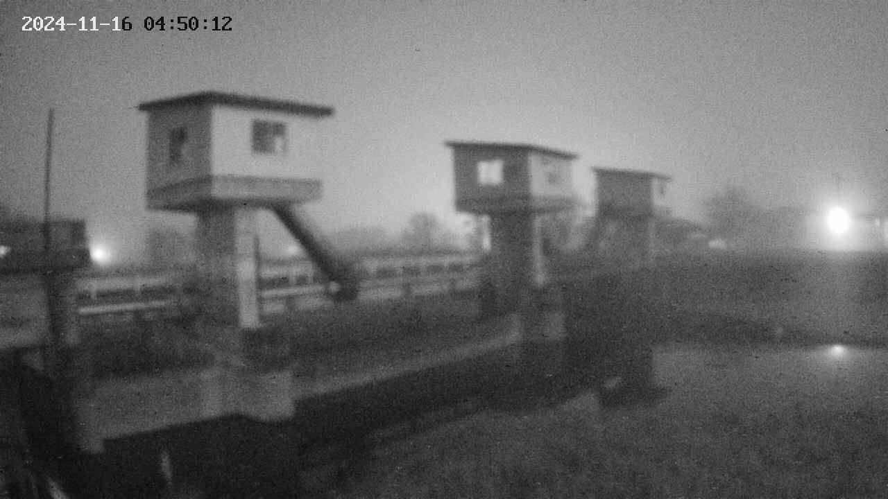 area1-20241116045013.jpg