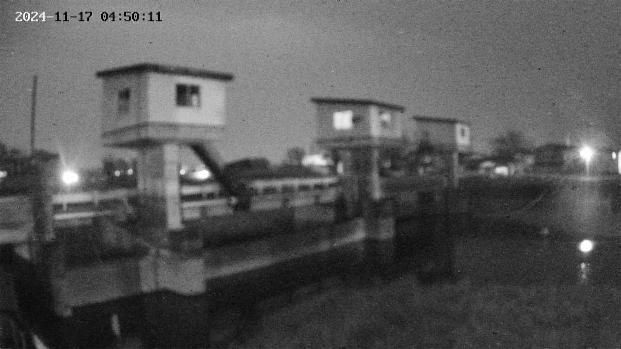 area1-20241117045012.jpg