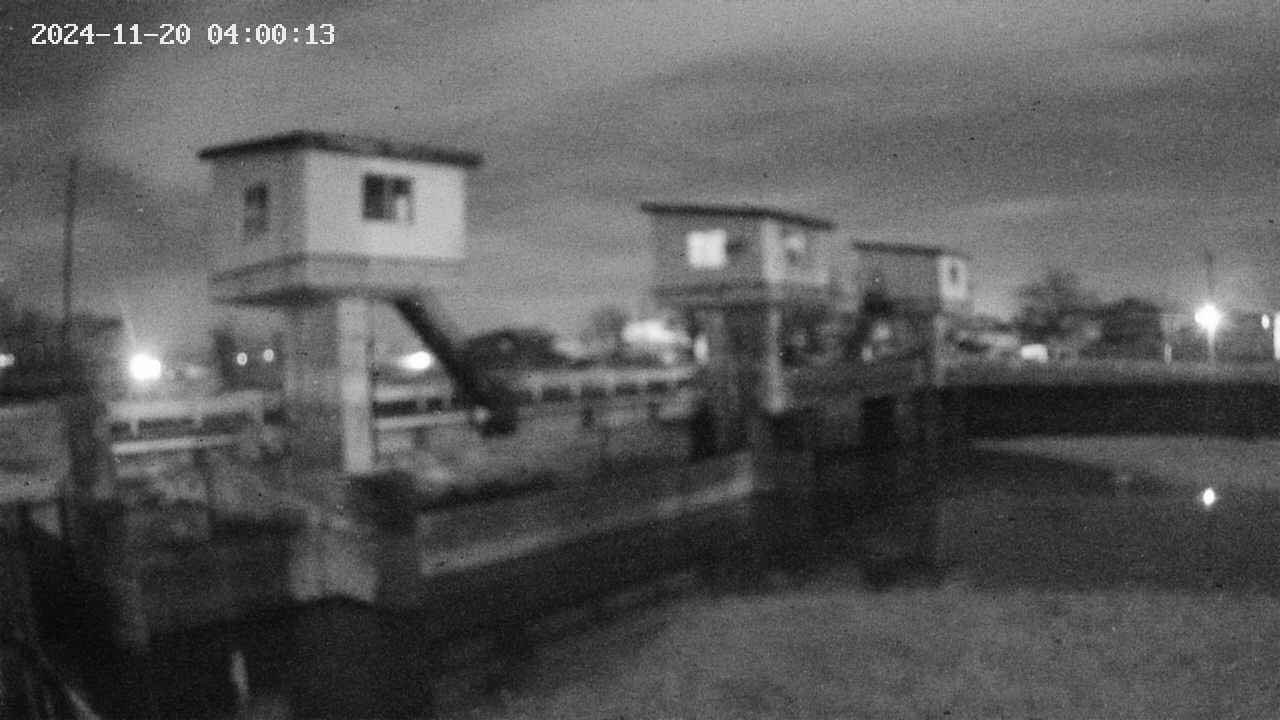 area1-20241120040014.jpg