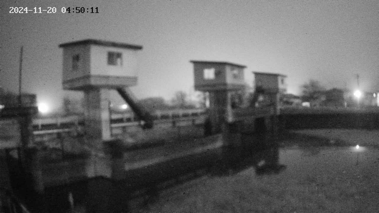 area1-20241120045012.jpg