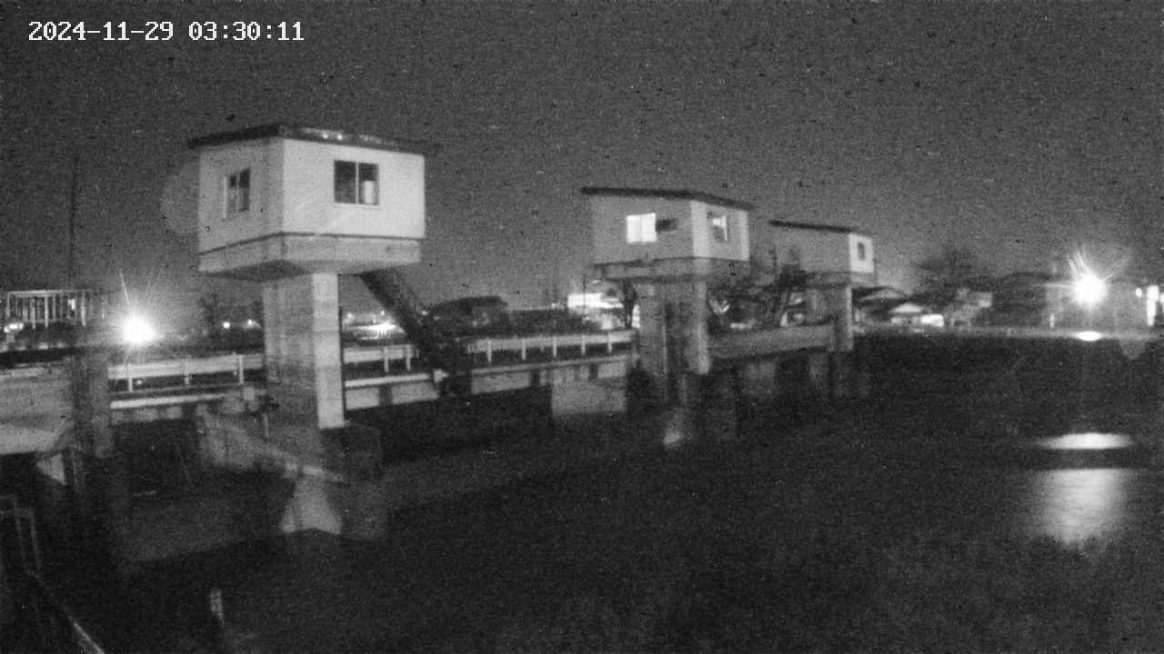 area1-20241129033012.jpg