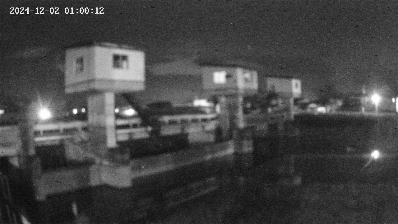 area1-20241202010013.jpg
