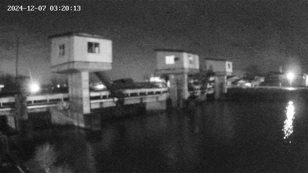 area1-20241207032013.jpg