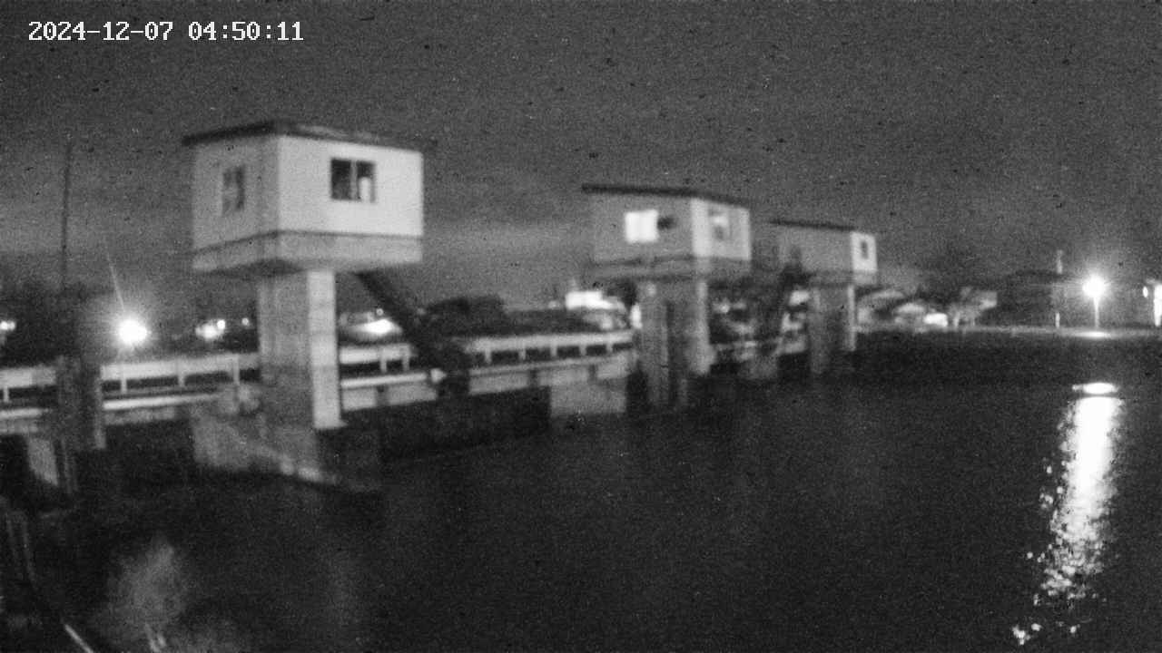 area1-20241207045012.jpg