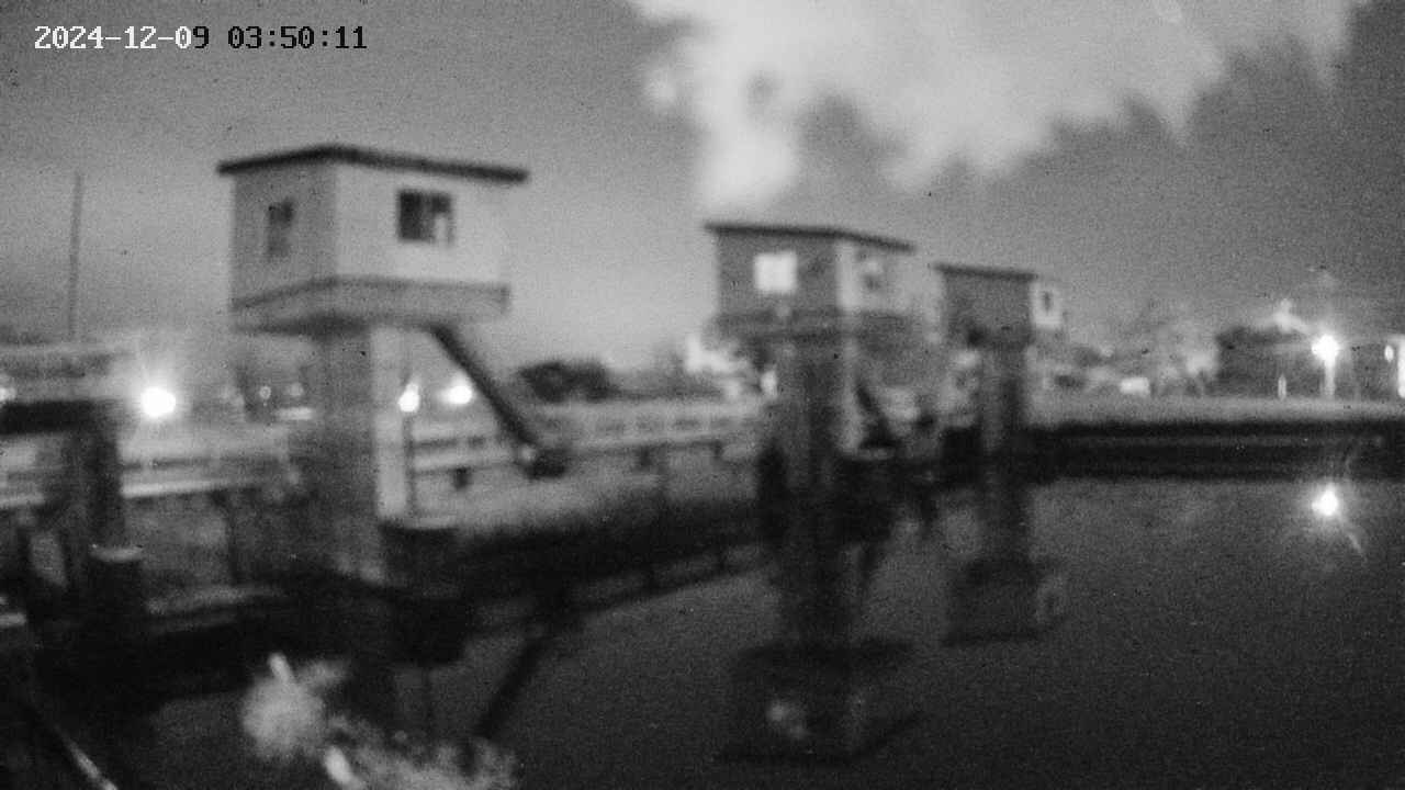 area1-20241209035012.jpg