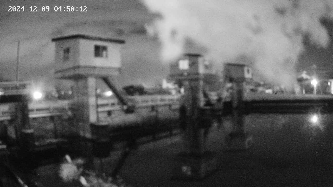 area1-20241209045013.jpg